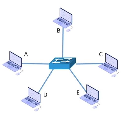 一 ⅰ 交换技术与计算机网络分类 构建现代数字世界的基石